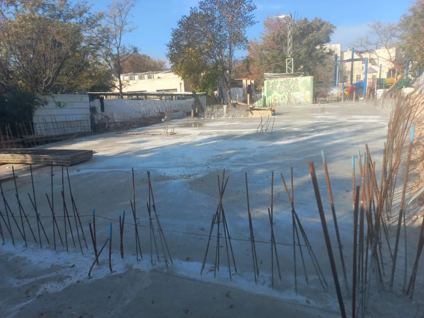 תמונה של WhatsApp_ 2025-12-14 בשעה 22.32.56_5f9158ab - min